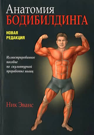 Anatomy of bodybuilding