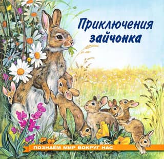 Познаем мир вокруг нас. Приключения зайчонка