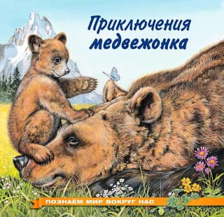 Познаем мир вокруг нас. Приключения медвежонка
