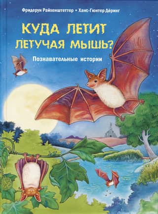 Куда летит летучая мышь? Познавательные истории