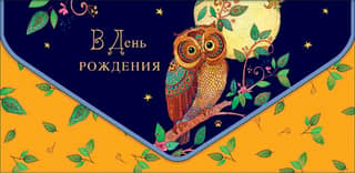 Money envelope. On your birthday. Owl under the moon.