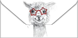 Money envelope. Llama with glasses.