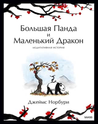 Большая Панда и Маленький Дракон. Медитативная история