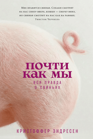 Почти как мы. Вся правда о свиньях