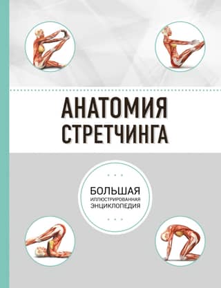 The Anatomy of Stretching: A Complete Illustrated Encyclopedia