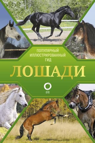 Лошади. Популярный иллюстрированный гид