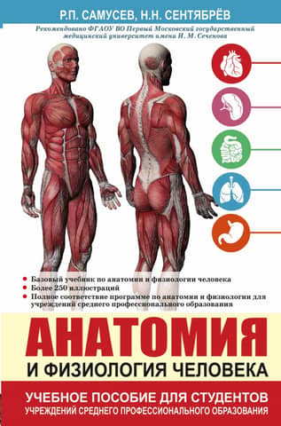 Анатомия и физиология человека