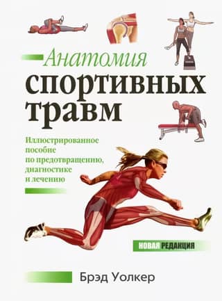 Anatomy of sports injuries