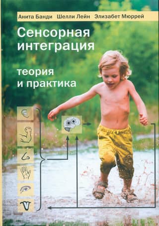 Сенсорная интеграция. Теория и практика