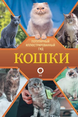 Кошки. Популярный иллюстрированный гид