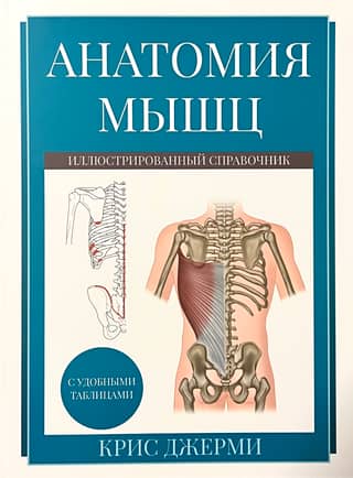 Анатомия мышц. Иллюстрированный справочник