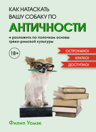 Как натаскать вашу собаку по античности и разложить по полочкам основы греко-римской культуры