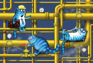 Postcard. Blue cats. Plumber cats.