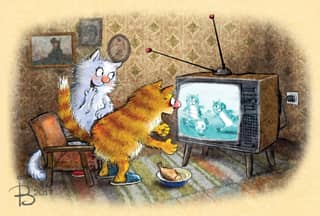 Postcard. Blue cats. Cats watching football.