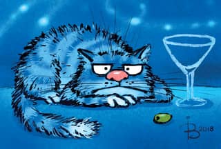 Postcard. Blue cats. Sad cat.