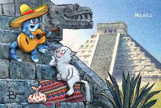 Postcard. Blue cats. Cats travel Mexico.