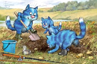 Postcard. Blue cats. Cats digging potatoes.