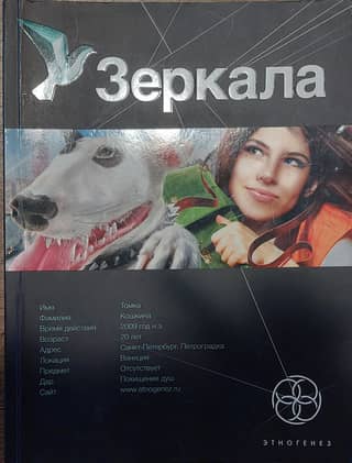 Зеркала. Книга первая. Маскарад