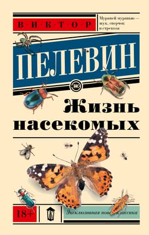 Жизнь насекомых