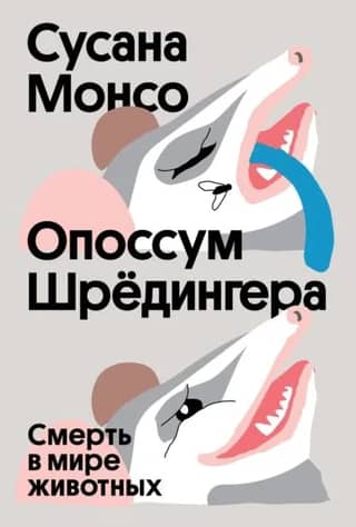 Опоссум Шредингера