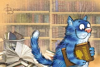 Postcard. Blue Cats. Library