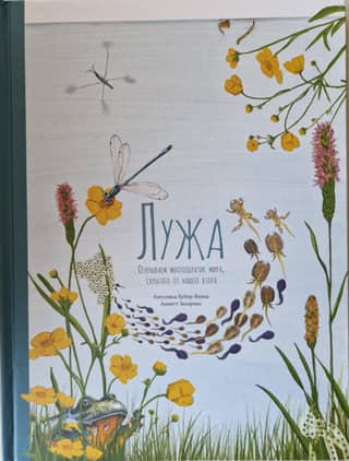 Лужа. Открываем многообразие мира, скрытого от нашего взора