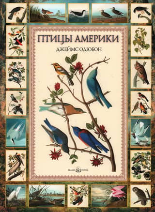 Птицы Америки