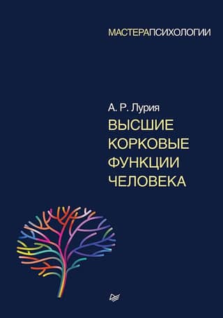 Высшие корковые функции человека