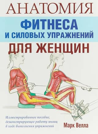 Анатомия фитнеса и силовых упражнений для женщин