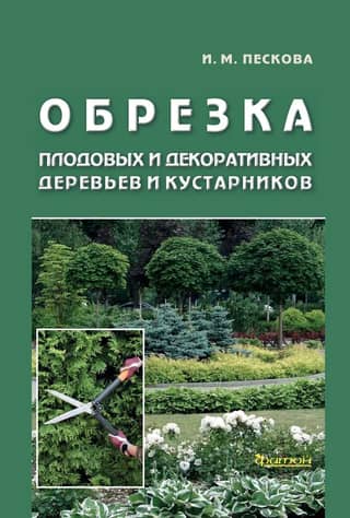 Обрезка плодовых и декоративных деревьев и кустарников