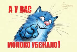 Postcard. Blue cats. Your milk has boiled over!