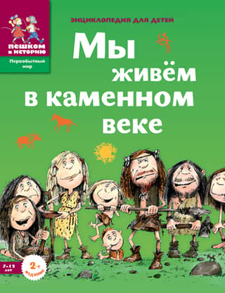 Мы живем в каменном веке