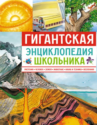 The Giant Schoolboy's Encyclopedia