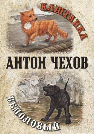 Каштанка. Белолобый