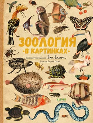Зоология в картинках