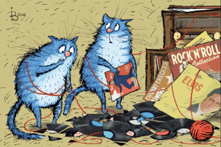 Postcard. Blue Cats. Rock 'n' Roll.