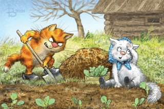 Postcard. Blue cats. Sowing.