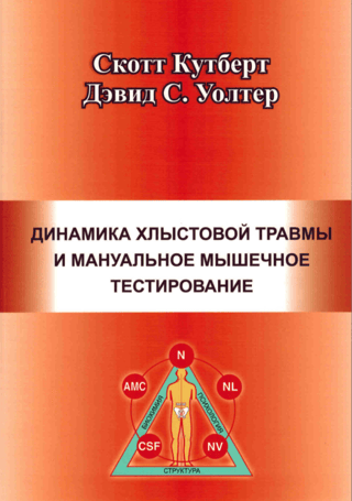 Динамика хлыстовой травмы и мануальное мышечное тестирование