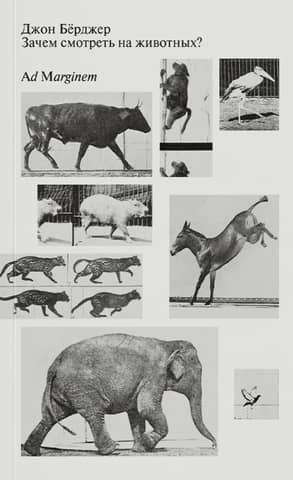 Why look at animals?