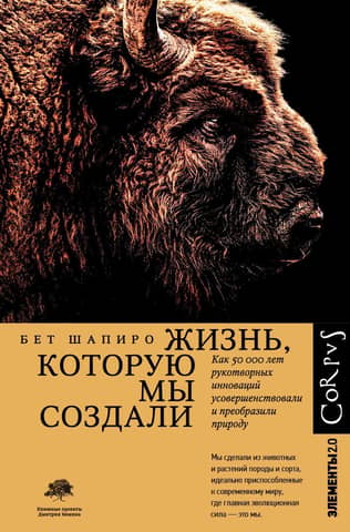Жизнь, которую мы создали