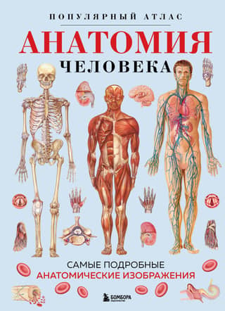 Human Anatomy. A Popular Atlas. The Most Detailed Anatomical Images