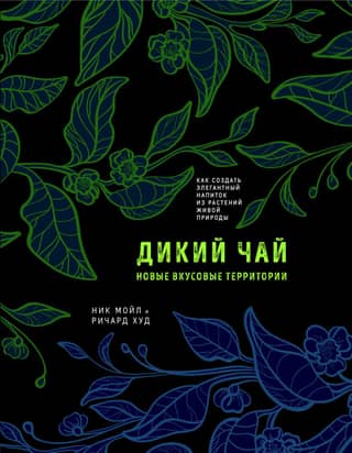 Дикий чай. Новые вкусовые территории. Как создать элегантный напиток из растений живой природы