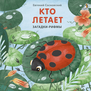 Кто летает. Загадки-рифмы