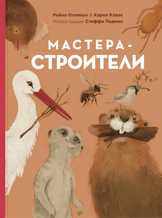 Мастера-строители