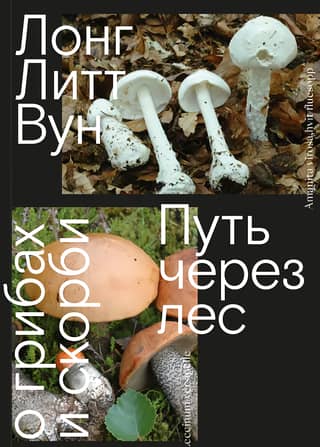Путь через лес. О грибах и скорби