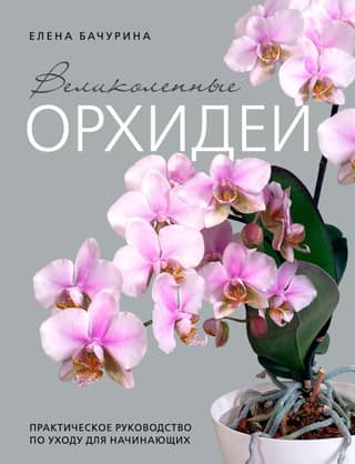 Великолепные орхидеи. Практичное руководство по уходу для начинающих