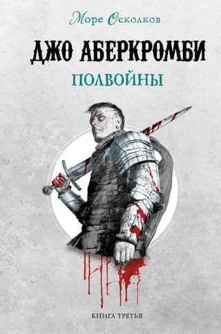 Море Осколков. Книга 3. Полвойны