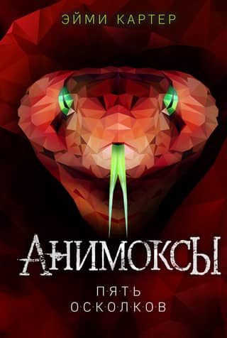 Анимоксы. Книга 2. Пять Осколков