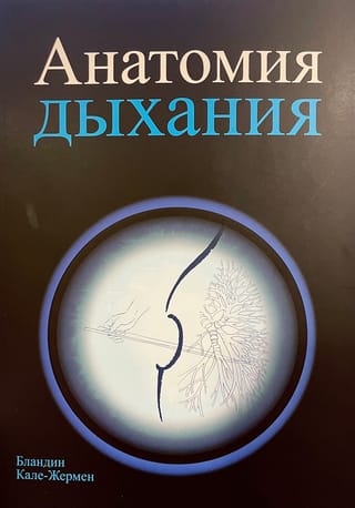 Анатомия дыхания