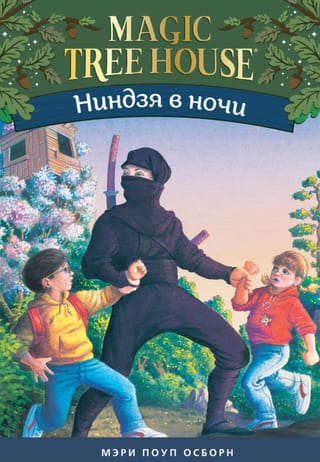 Ниндзя в ночи